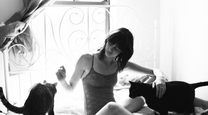 Donne con i gatti Girls with their cats by Brianne Willis