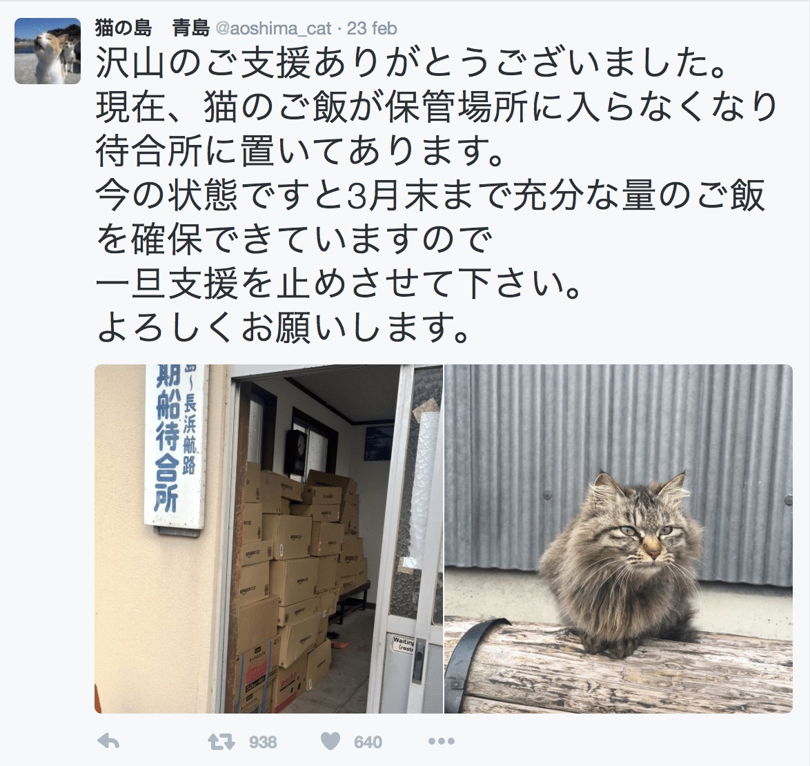 Aoshima riceve pappe dopo un tweet