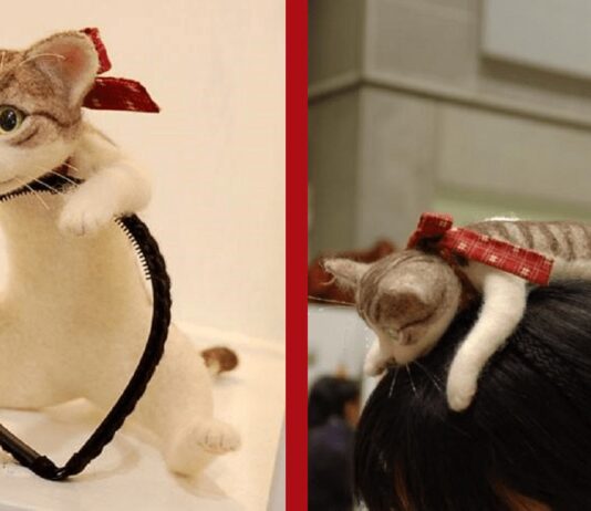 Ho un cerchio (gatto) alla testa Cerchio per capelli gatto