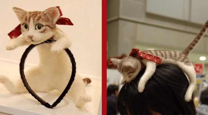 Ho un cerchio (gatto) alla testa Cerchio per capelli gatto