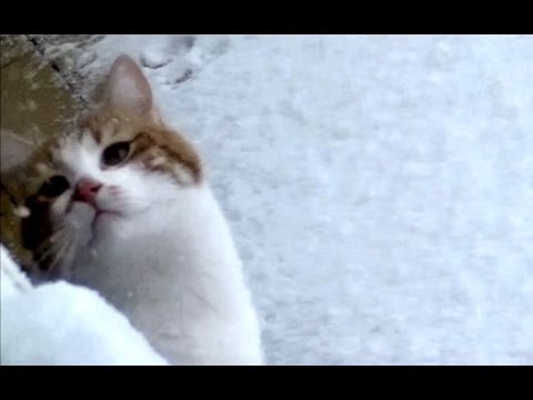 Mi piace stare sul balcone