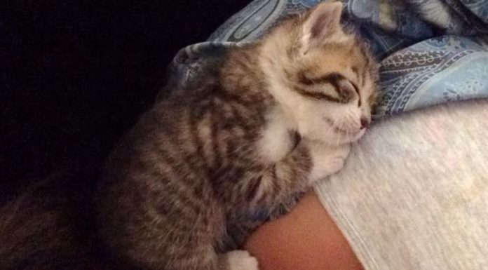 “Non saprò mai come dirti grazie”, dice Tiggie Tiggie