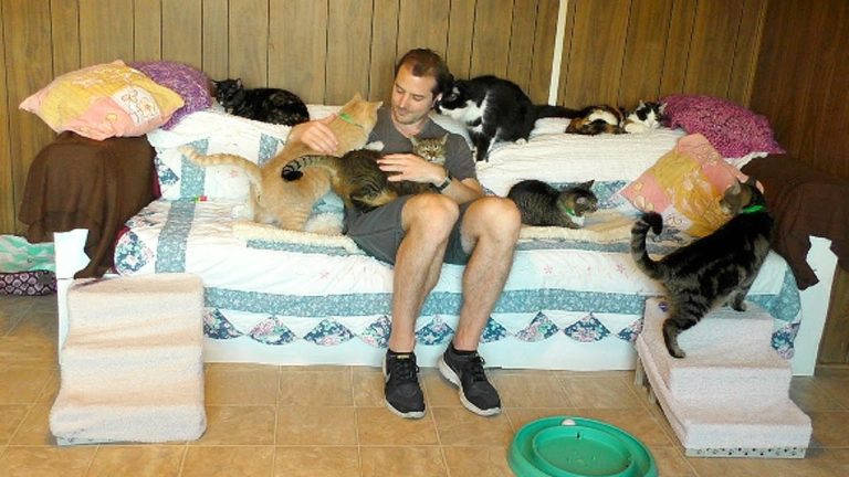 Kitty therapy