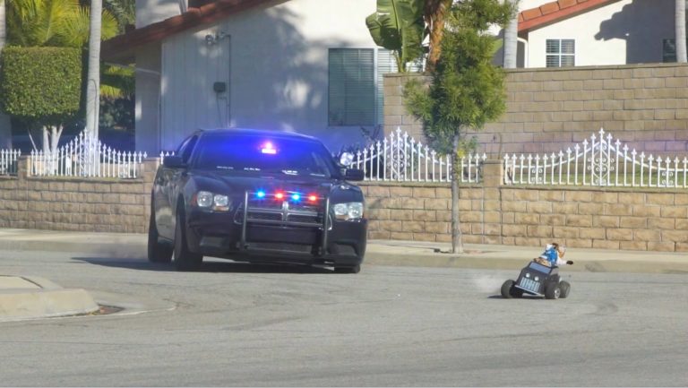 Cat Cop Chase
