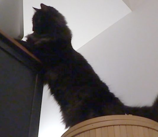 Che scrivania pulita!