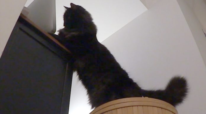 Che scrivania pulita!