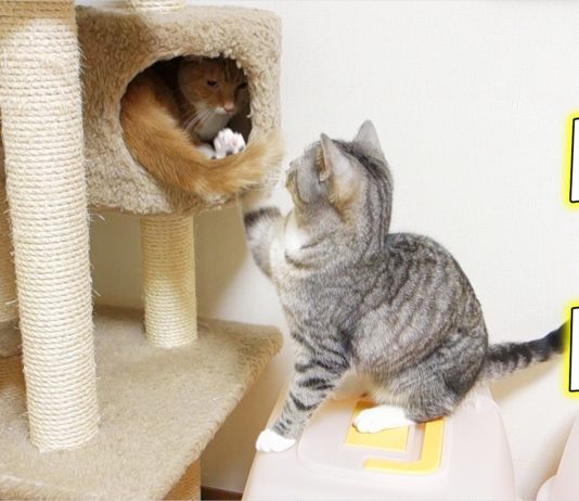 Non voglio aspettare!