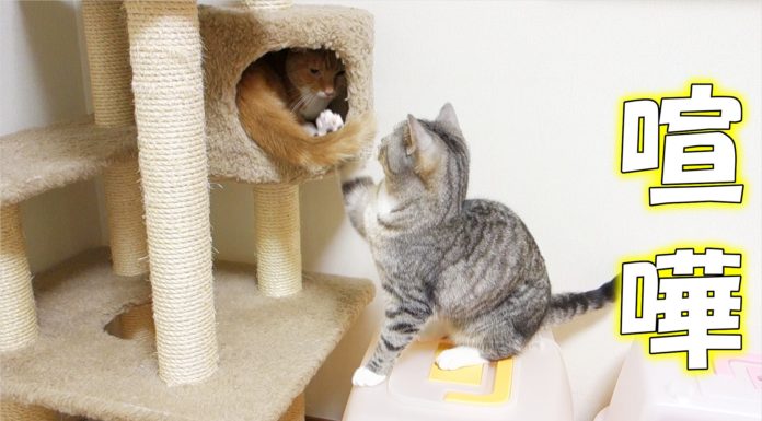 Non voglio aspettare!