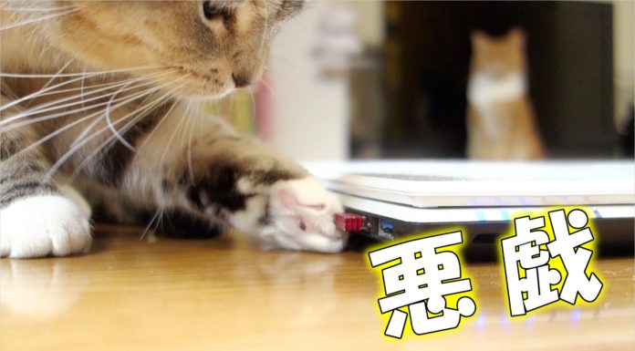 Guai all’orizzonte