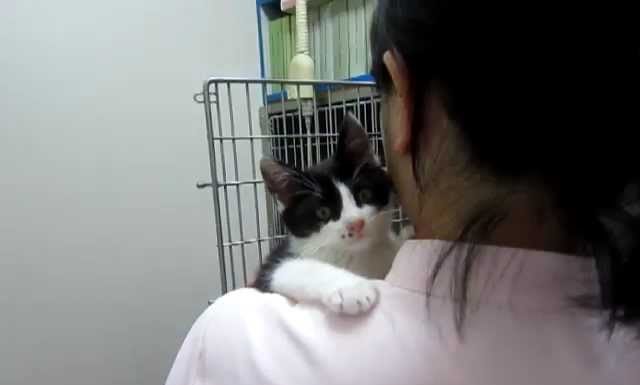 Ti voglio tanto bene