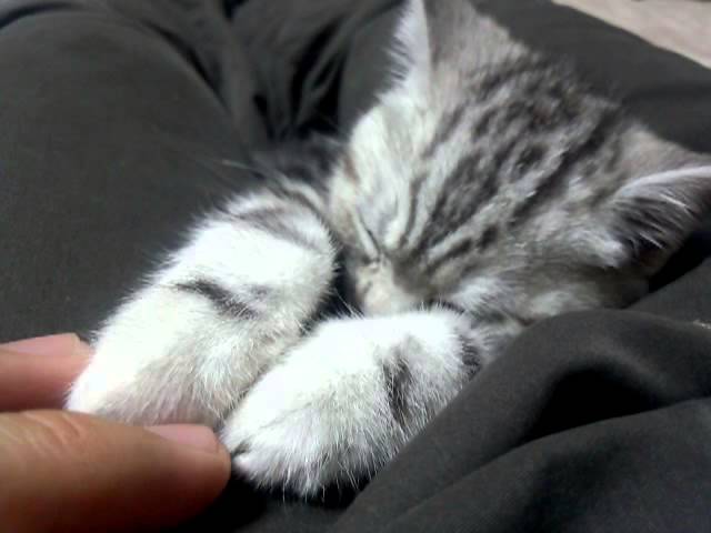 Non voglio dormire!