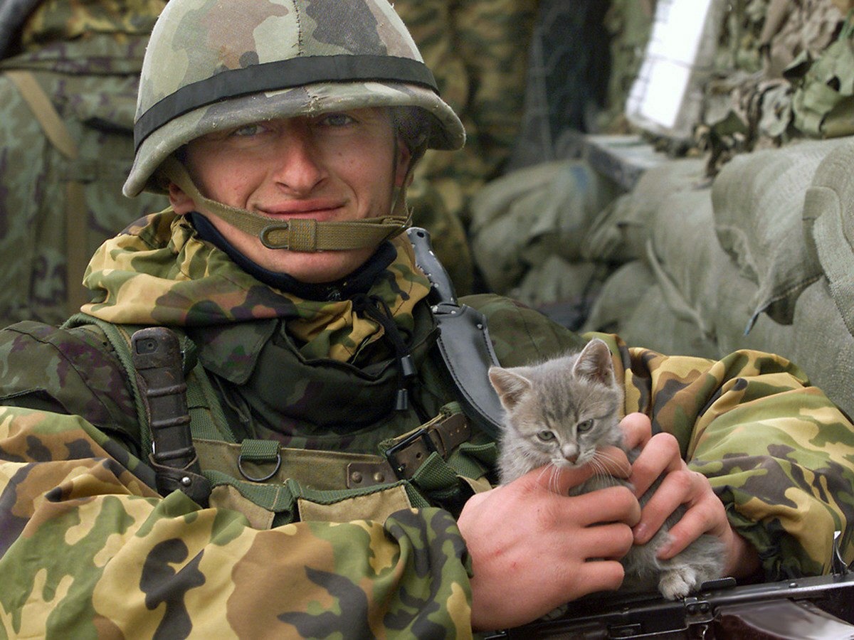 Soldato del Kosovo con gatto