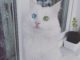 Alos, un gatto dagli occhi bicolor