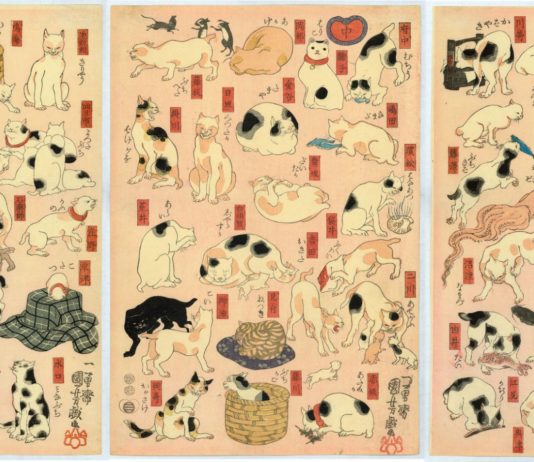 Gatti giapponesi Kuniyoshi, Gatti