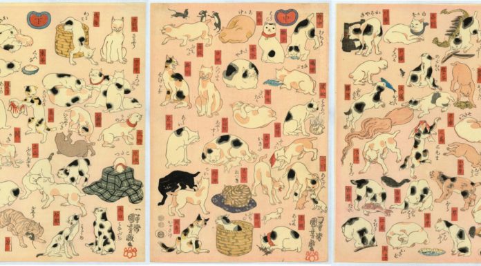 Kuniyoshi, Gatti