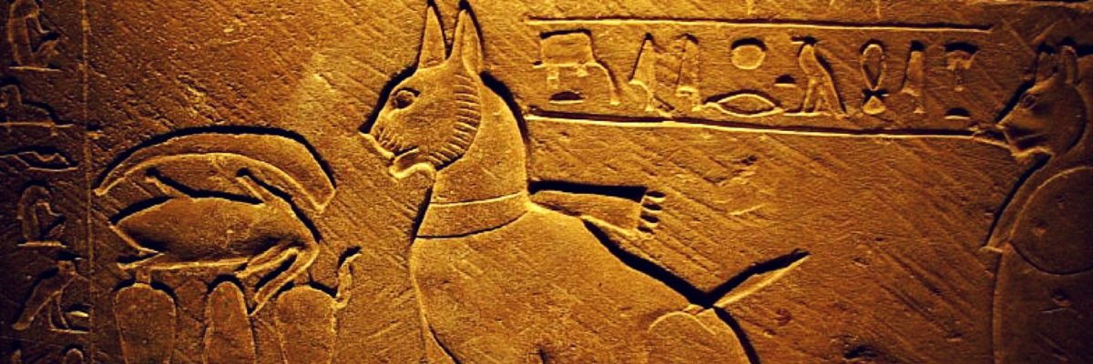Ritratto di gatto sul sarcofago del principe Thutmose, Diciottesima Dinastia