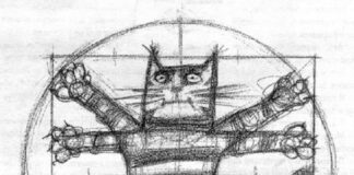 Gatto vitruviano