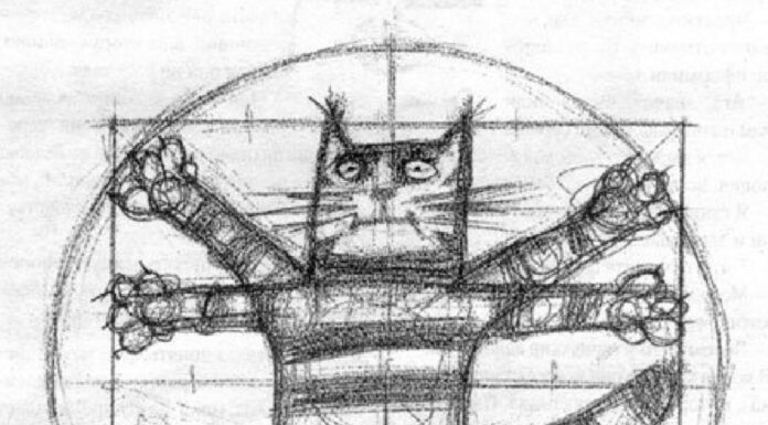 Gatto vitruviano