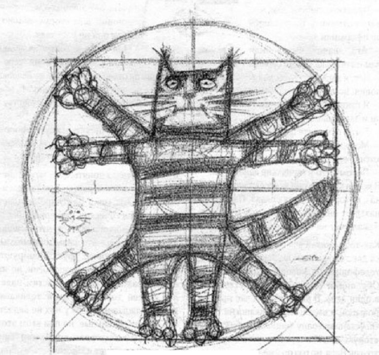 Gatto vitruviano