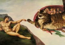 Il gatto divenne un dio