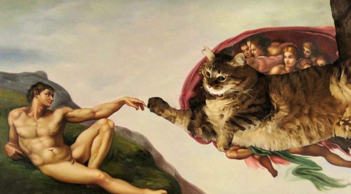 Il gatto divenne un dio