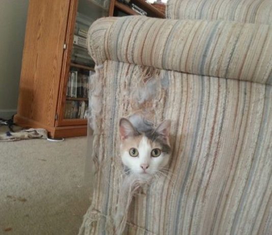 Ho trovato un posticino comodo comodo