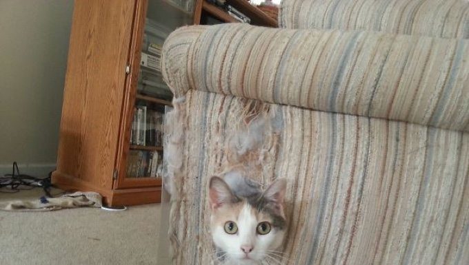 Ho trovato un posticino comodo comodo