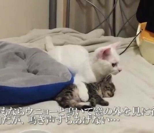 Cosa sta succedendo?