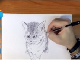 Come disegnare un gatto