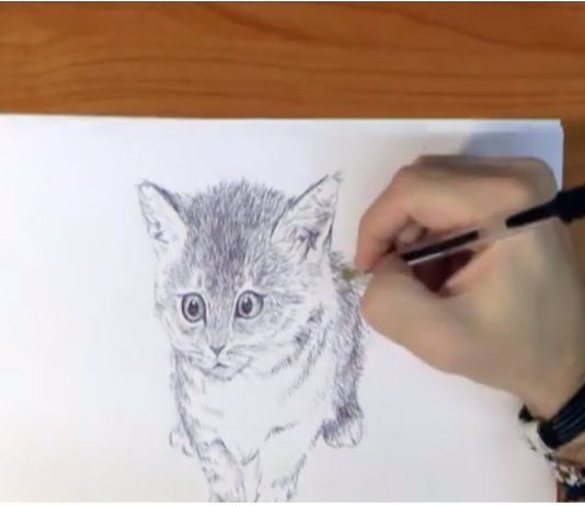 Come disegnare un gatto