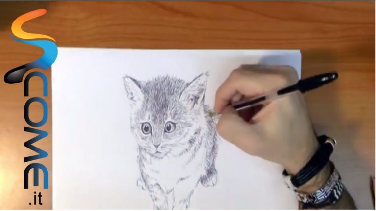 Come disegnare un gatto