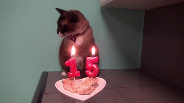Max compie 15 anni