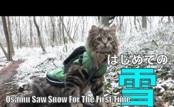 Osamu la prima volta sulla neve