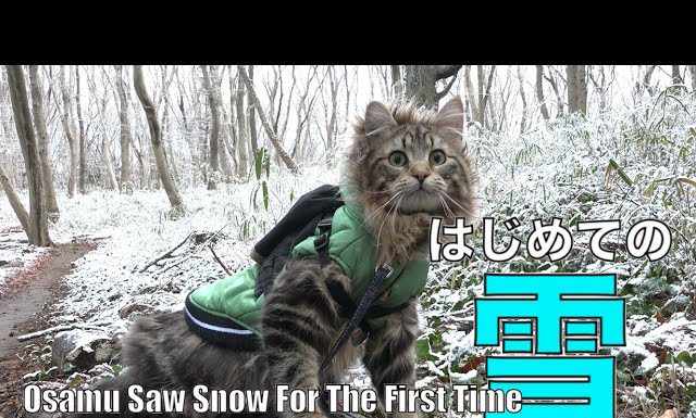 Osamu la prima volta sulla neve