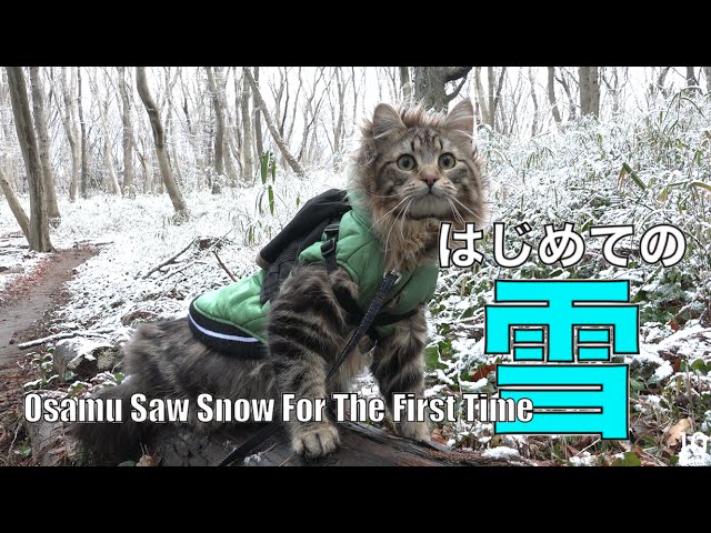 Osamu la prima volta sulla neve