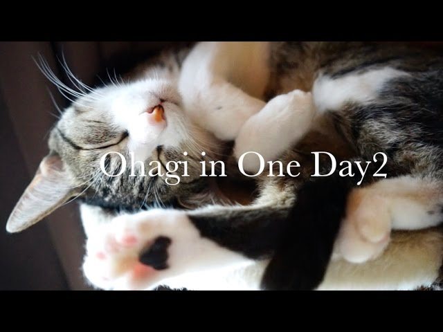 Ohagi e una sua giornata “tipo”