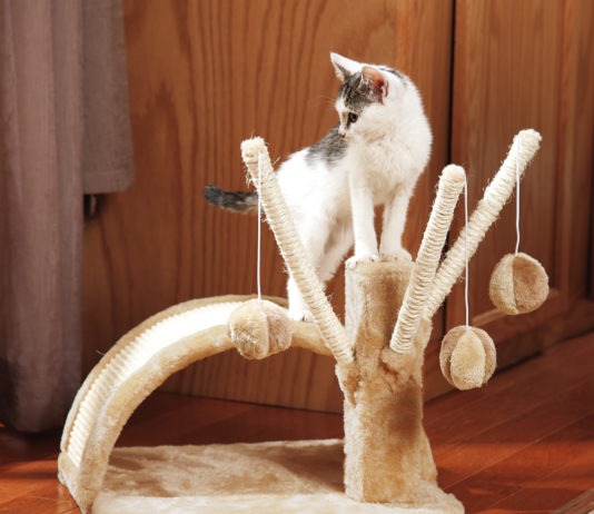 Tiragraffi Amazon: i migliori 5 Tiragraffi Amazon