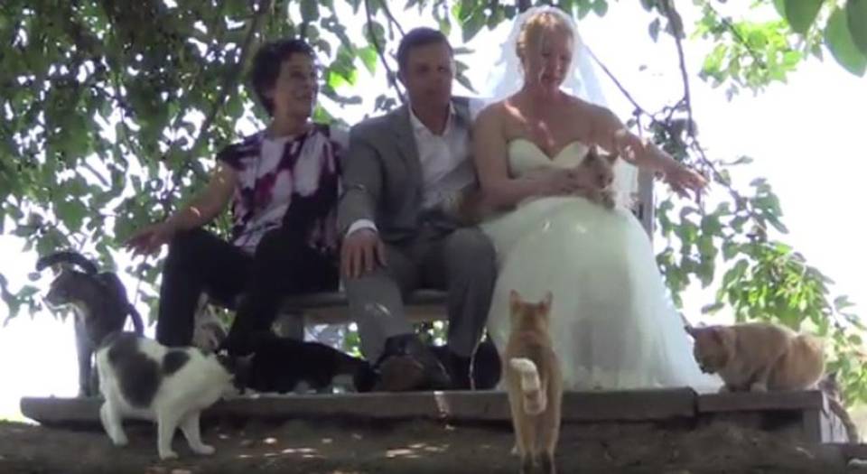 Lynea Lattanzio con gli sposi canadesi e i suoi gatti