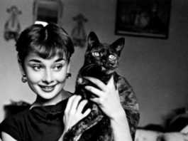 Audrey Hepburn