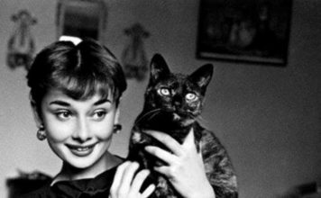 Le star del cinema amano i gatti Audrey Hepburn