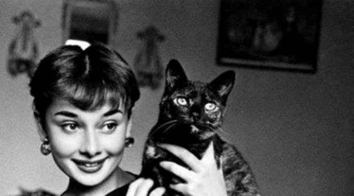 Audrey Hepburn