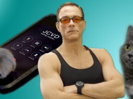 Siate gentili con il vostro gatto, altrimenti…