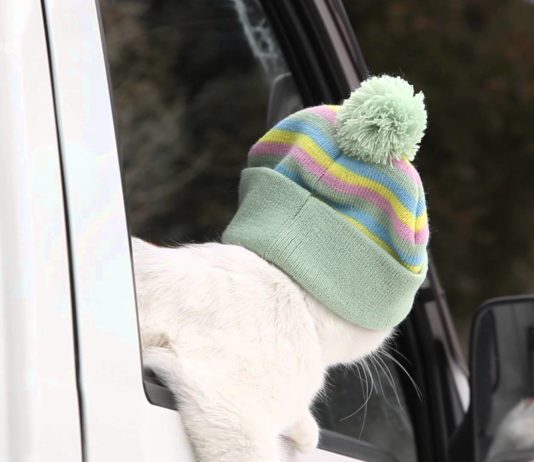 Con il freddo un cappellino è proprio quello che ci vuole