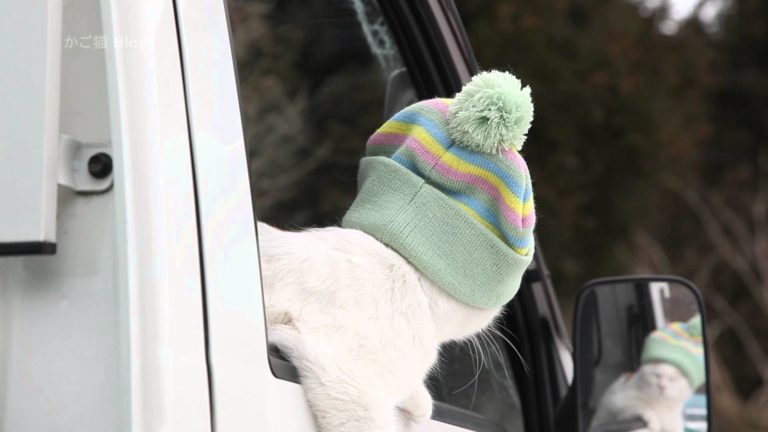Con il freddo un cappellino è proprio quello che ci vuole
