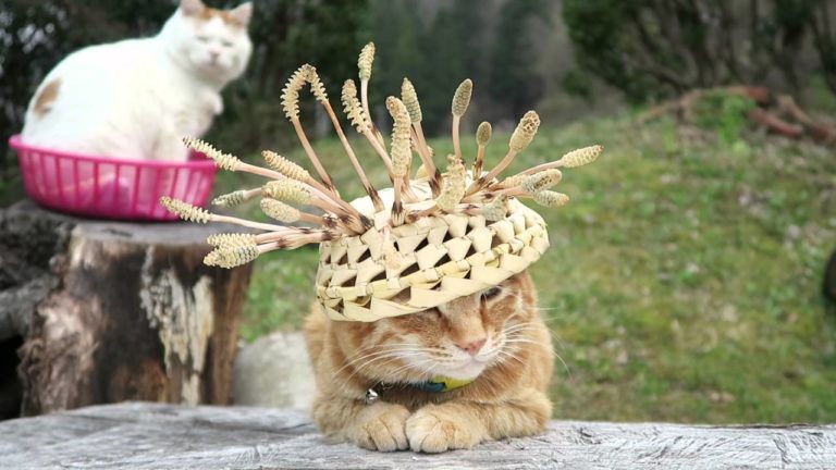 Cappellino di paglia