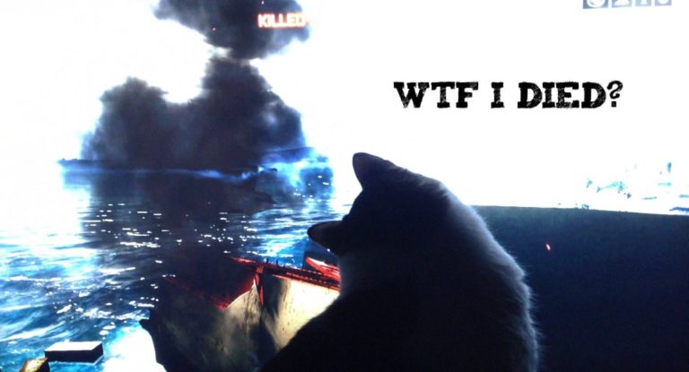 Gattino gioca a Battlefield