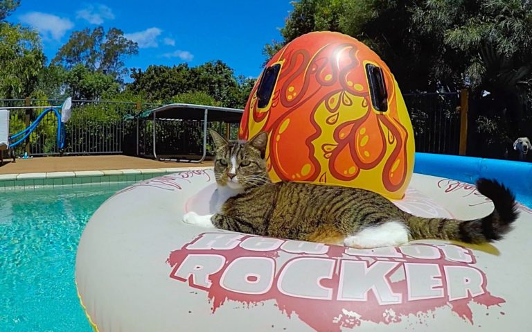 Didga in piscina