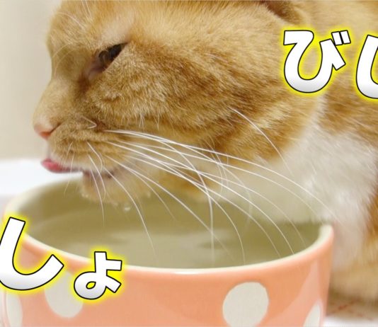 Mi piace bagnarmi il mento