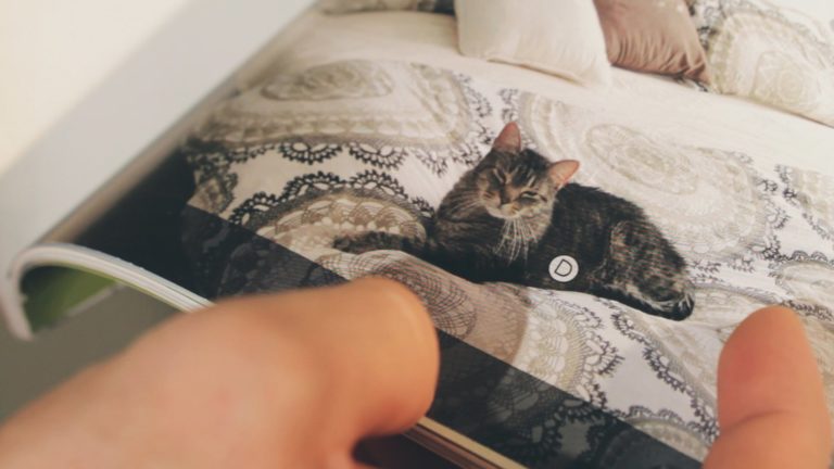 Gatto venduto con la mobilia