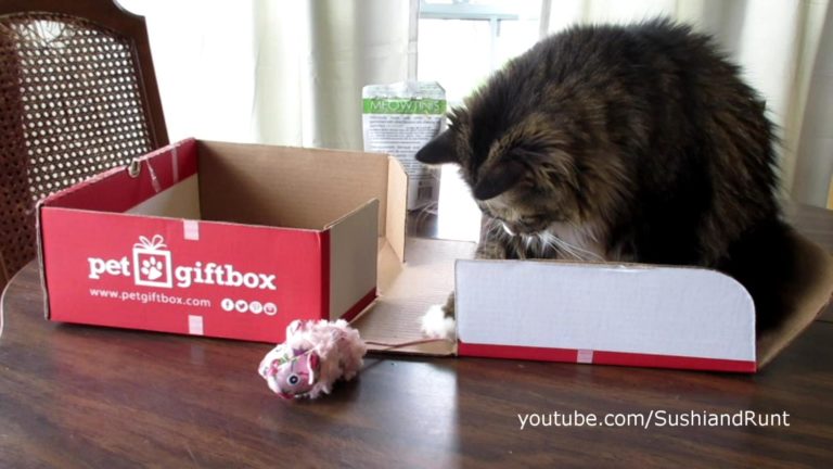 PetGiftBox Unboxing